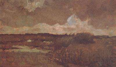 Vincent Van Gogh Marshy Landscape (nn04) France oil painting art